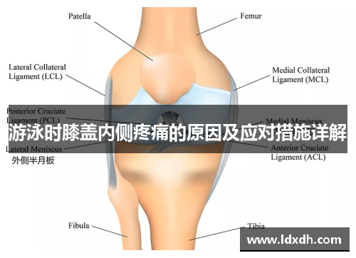 游泳时膝盖内侧疼痛的原因及应对措施详解